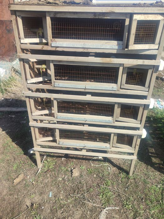 Брудер для цыплят