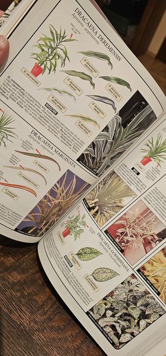 Експерт по стайните растения - книга на д-р Д. Д. Xecaйон