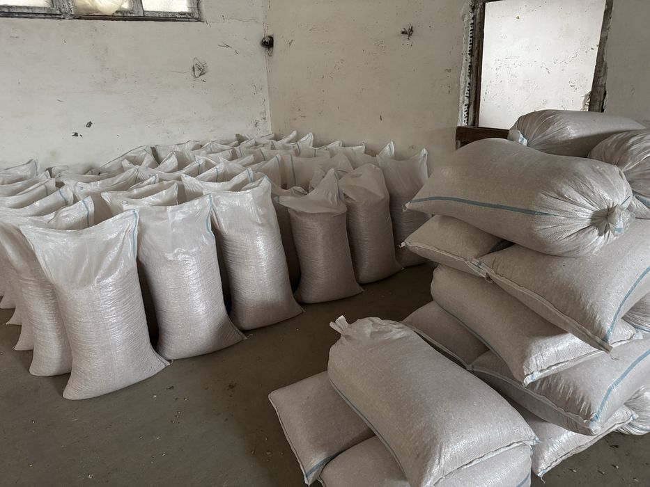 Porumb uscat ambalat in saci 50kg