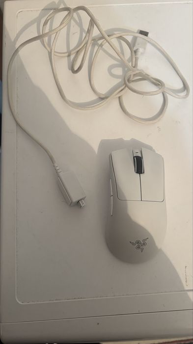 Мышь в хорошем состояний