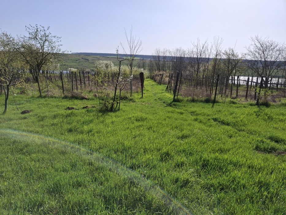 Vand casa in Sulita langa iaz Dracsani, Jud. Botosani