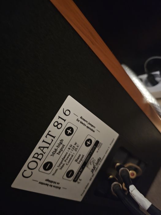 Boxe podea jm  lab.Cobalt 816.