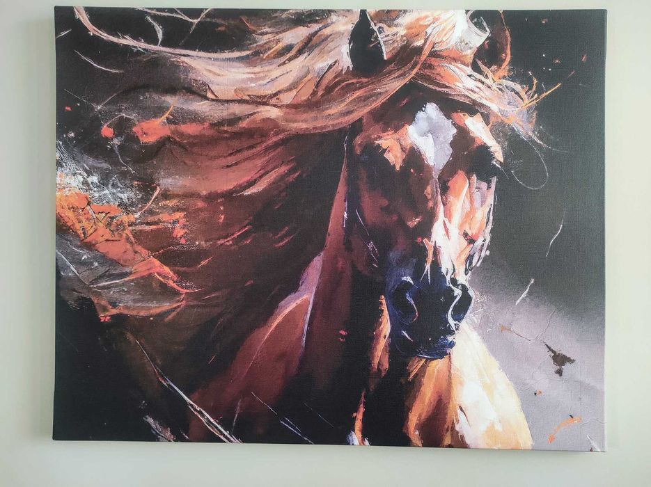 Картина 70/55 см.