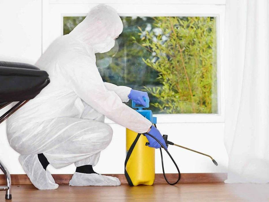 Dezinfeksiya Dizinfeksiya Dizenfeksiya Дезинфекция клопа klopa klapa