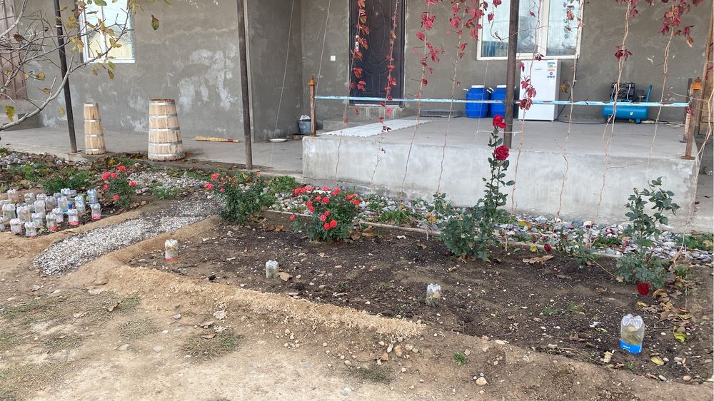 Срочно продается фазенда