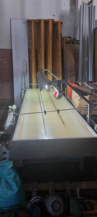 Инспекционна лента