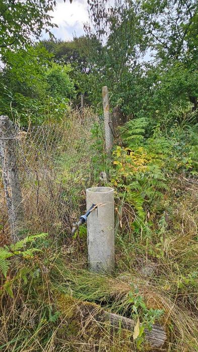 Къща в гората в с. Стърница, обл. Смолян