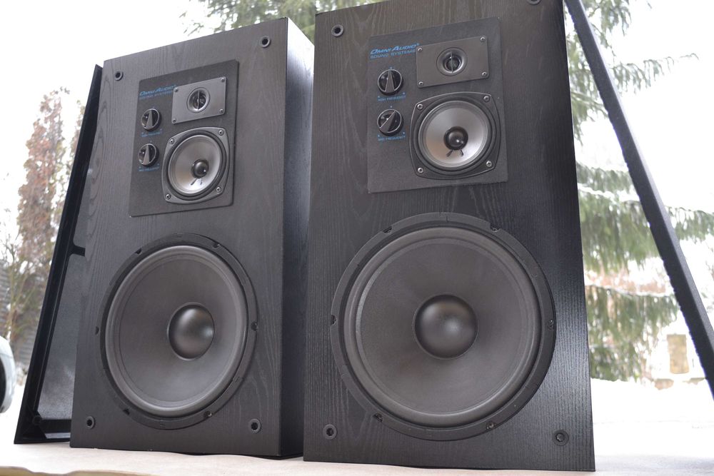 Boxe Omniaudio SA 12.3