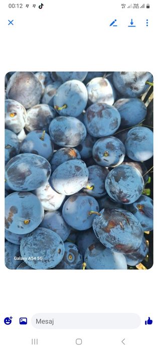 Vand prune de tuica