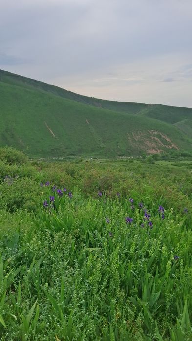 тур, поход в горы