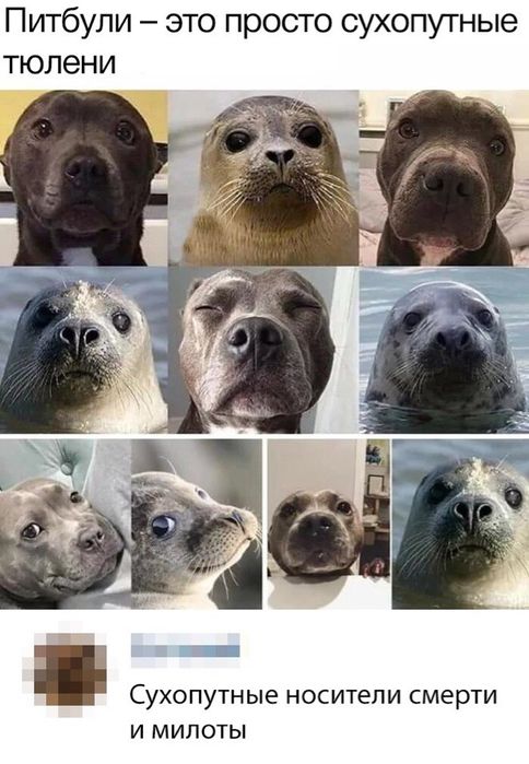 ЗооТакси от 3000 тенге!!!