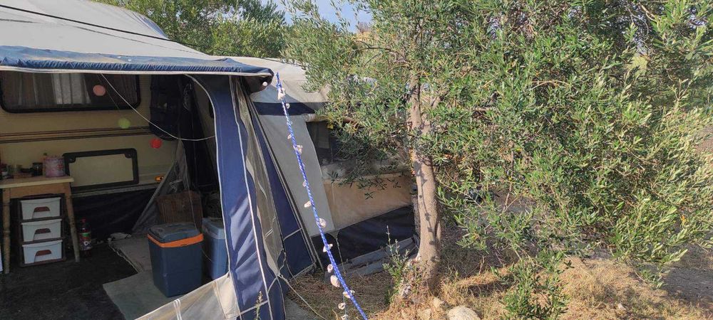 Форселт Изабела пента голд размер 1025