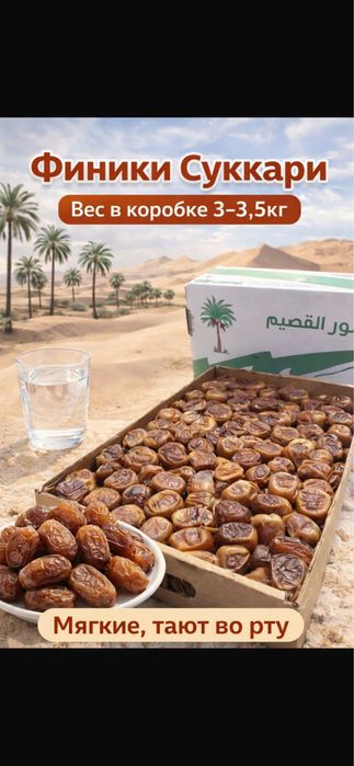 Финики сорта Суккари