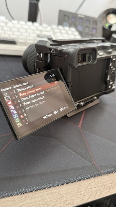 Sony A6700 + Sigma 18-50