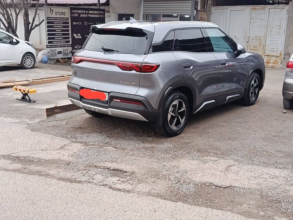 BYD Yuan Up Full 2024