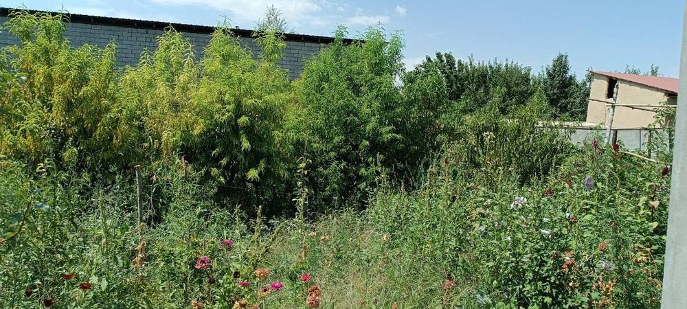 Дом аренда 6соток.