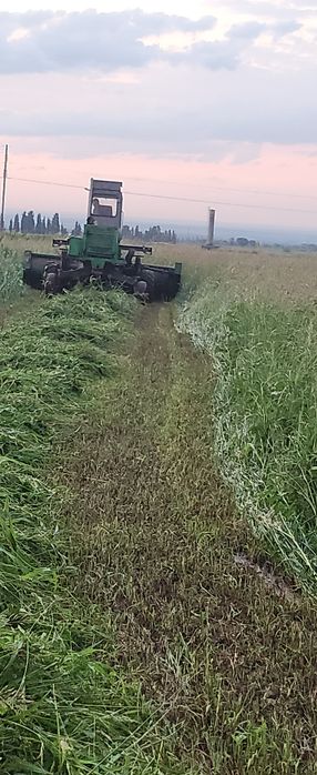 Сено суданская трава
