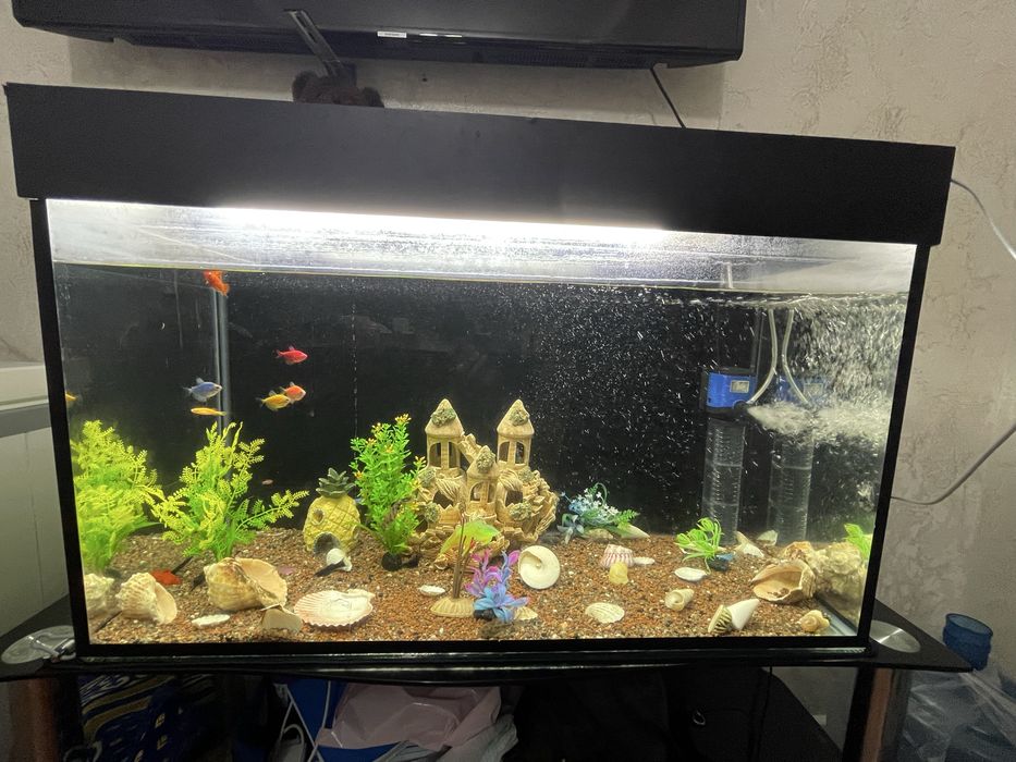 Аквариум с рыбками 150л