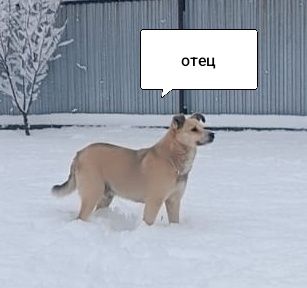 Щенки - обязательно в заботливые руки!