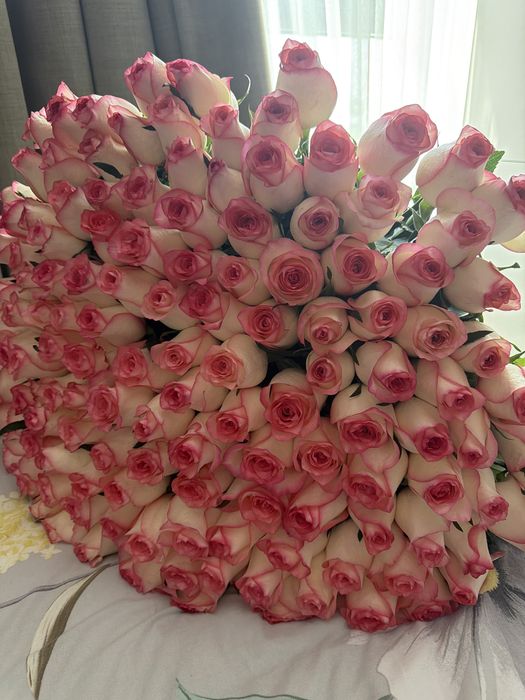 продам цветы алматы