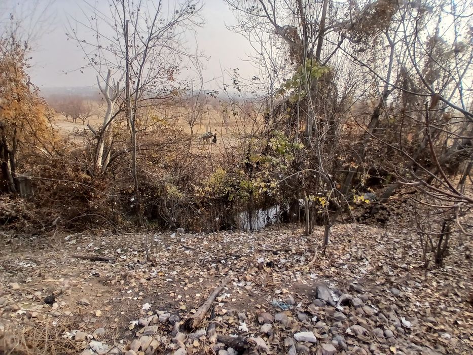 yer, Uy hovli sotiladi