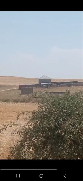 Dacha sotiladi 6 sotiq kadastri bor