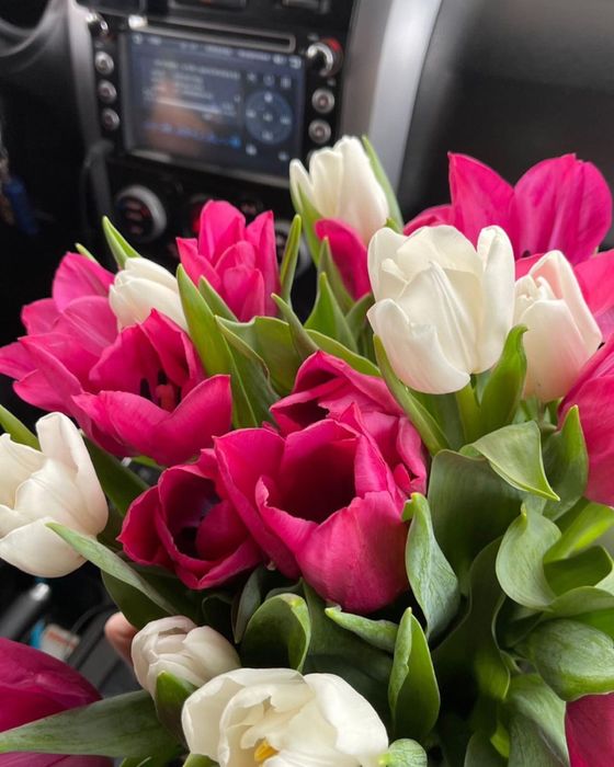 Тюльпаны РАСПРОДАЖА Астана, оптом и в розницу.