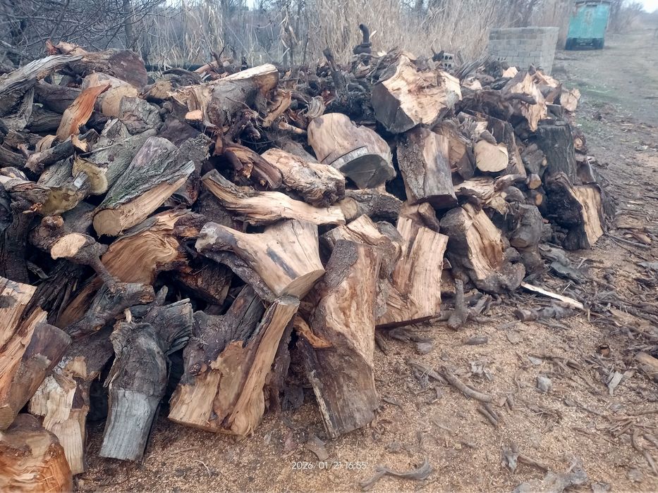 Quruq oʻtin sotiladi