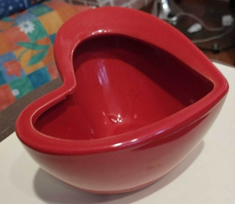 Кашпи за цветя и сукуленти