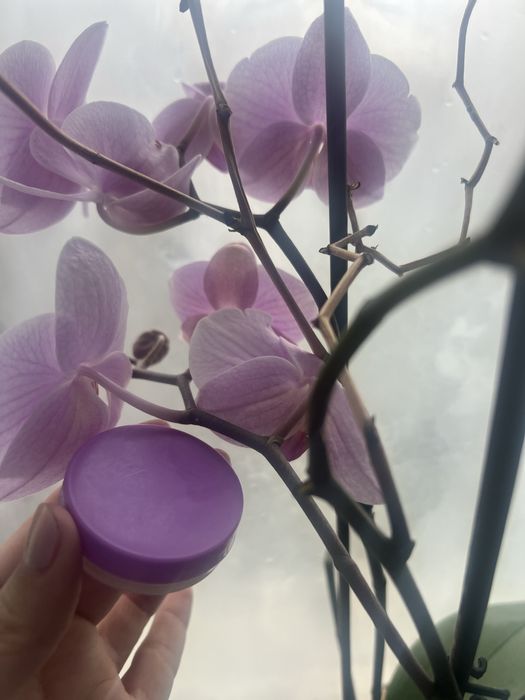 Крем против хемероиди