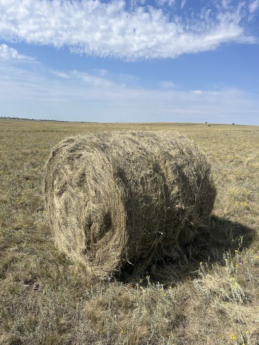 Сено 9000 цена от 14 штук