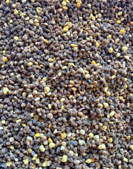 Пчелен полен 2025 г.