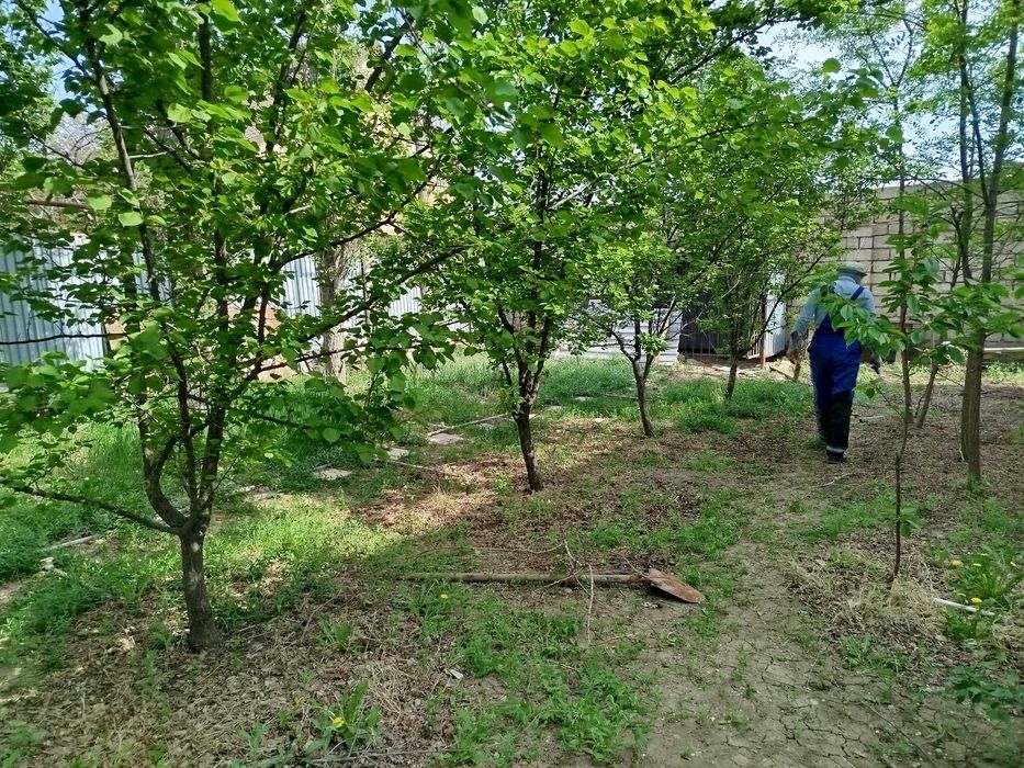 Косим траву.Шоп шабу.