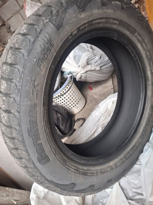 Резина зимняя шипованная