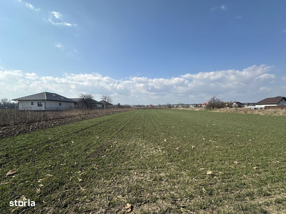 Teren intravilan 20 ari | Rădăuți | Front stradal 19.49 m