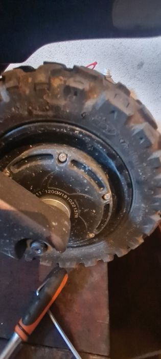 Kaboo wolf warrior 11 plus