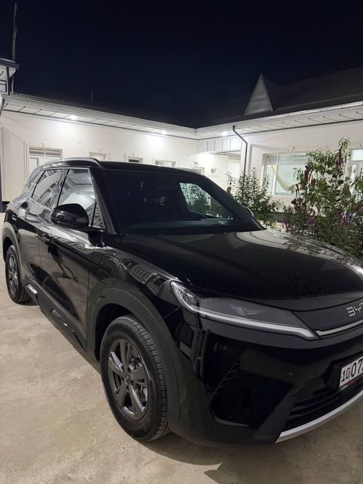 Byd yuan up 2026