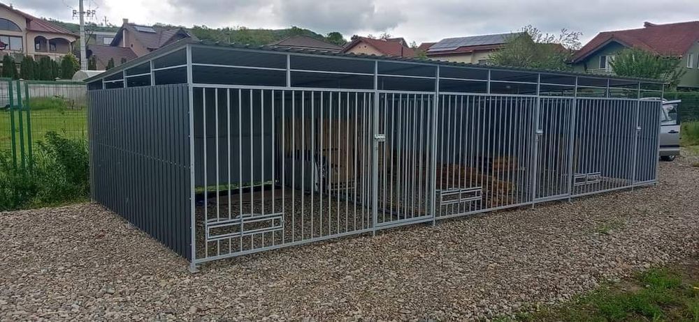 Țarc Padoc Caini Masive