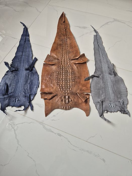 Продам кожу крокодила