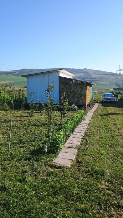 Vând teren extravilan  Gadalin