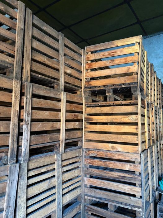Boxpaleti fructe