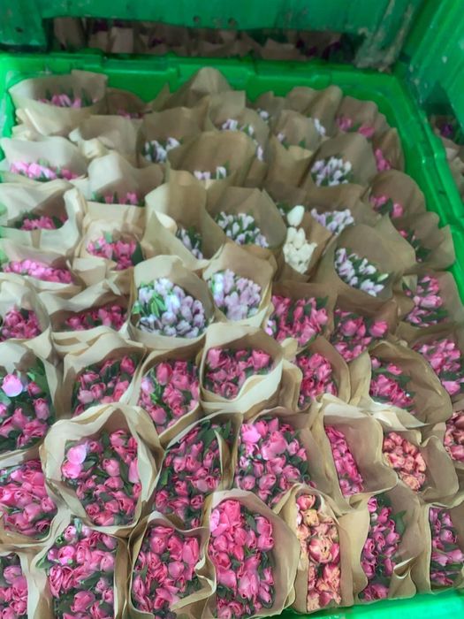 Тюльпаны оптом оптом оптом