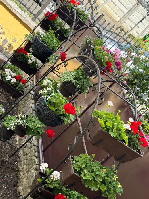 Suport flori din fier forjat