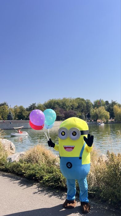 Inchiriem Macote: Minion • Pikachu • Clovn • PawPatrol