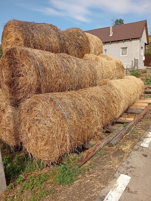 Vând baloți de lucernă