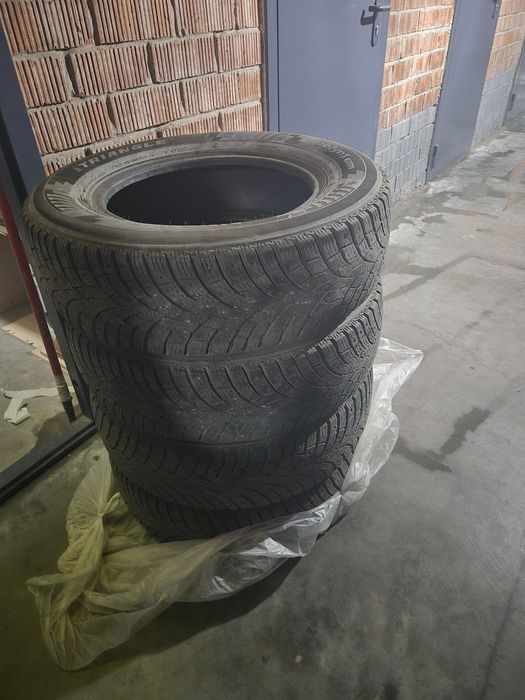 Шины зимние шипованные