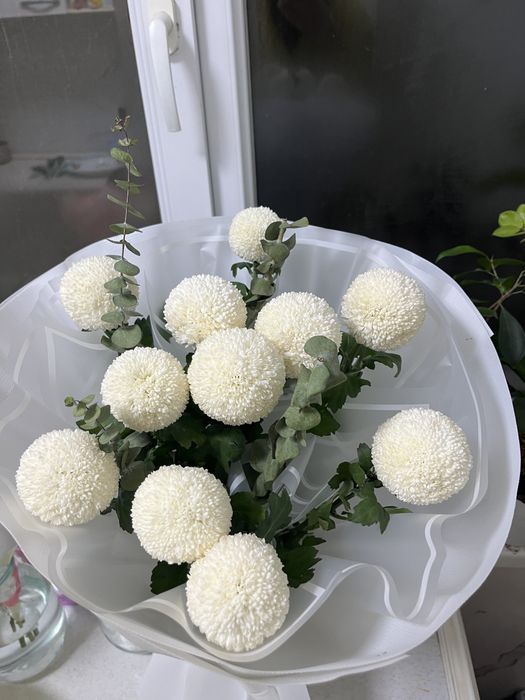 Цветы.Гул.Хризантема