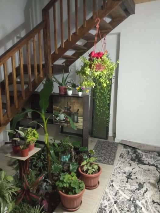 Аренда. Койка места