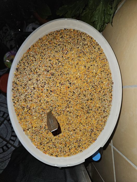 Polen Produse Apicole 2025