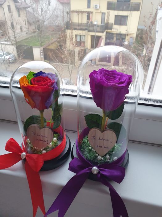 Trandafir criogenat conservat mov